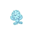 Crystal Sunflora